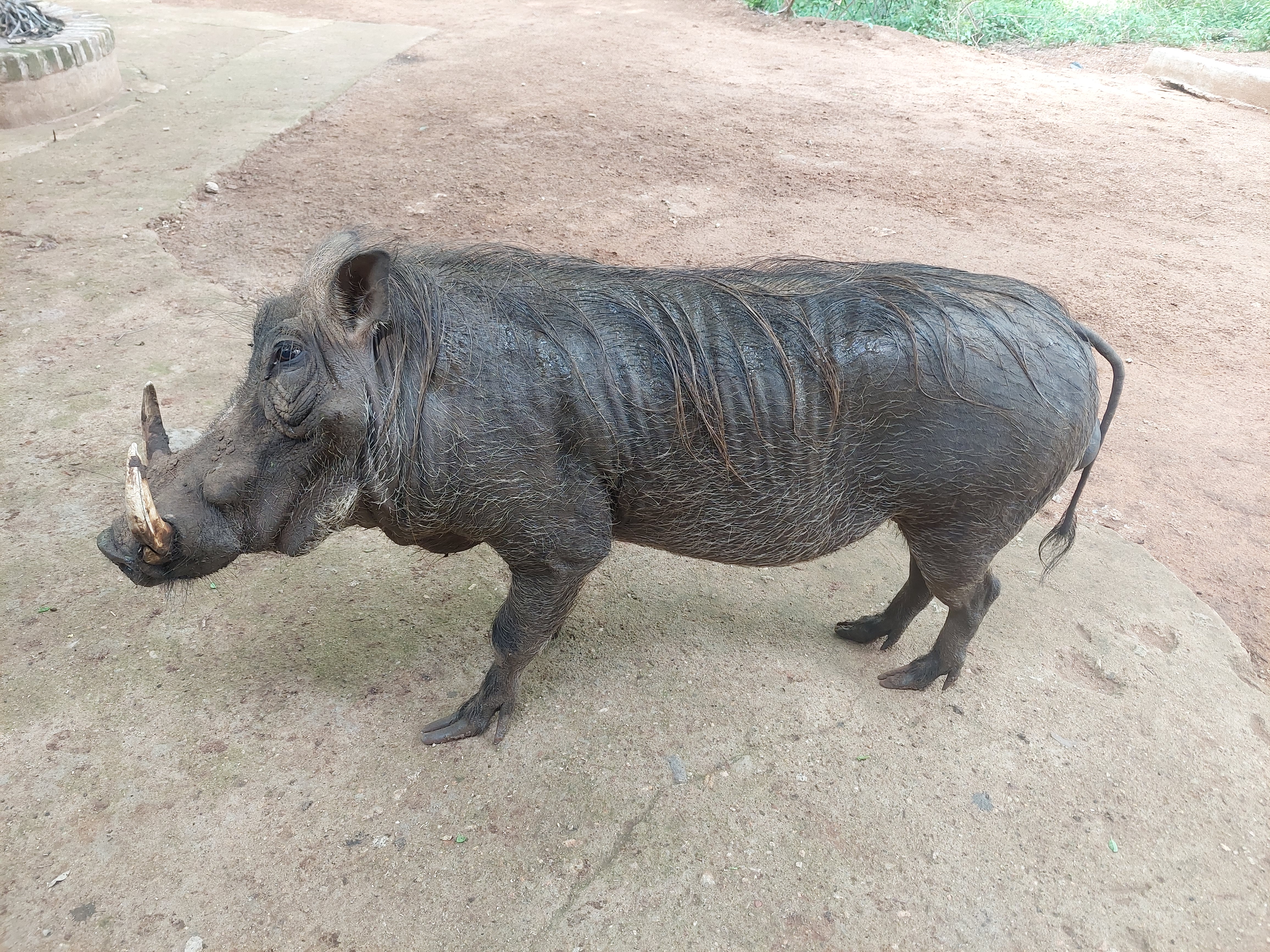 Property Thumbnail